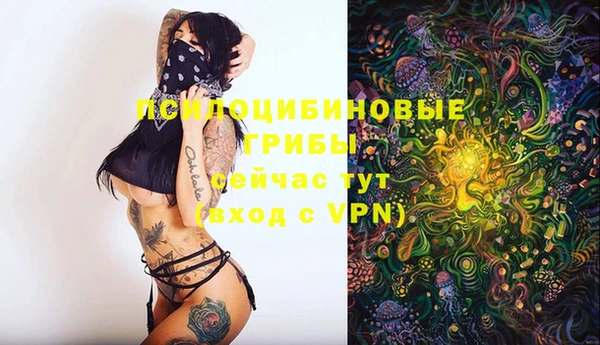 твердый Киренск
