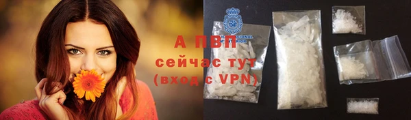 твердый Киренск