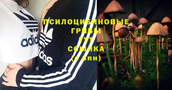 амф Козельск