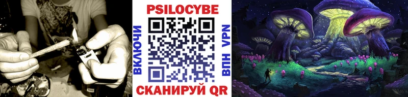Галлюциногенные грибы Cubensis  Купить где  Верхний Уфалей 